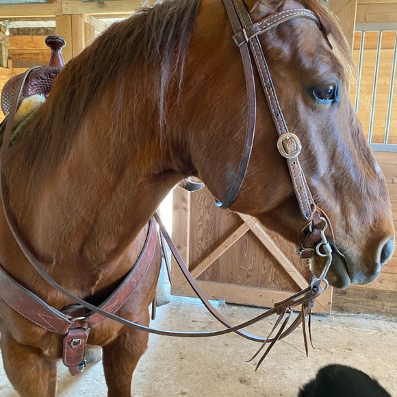 Meet your Posher, Natalie - Picture 3 of 16